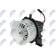 active