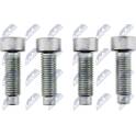 Schroeven NTY - KLT-FR-001-Z