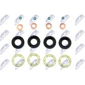 Seal Kit, injector nozzle NTY - BWP-CT-002
