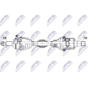 Semiassi NTY - NPW-TY-259