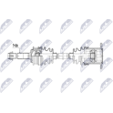Semiassi NTY - NPW-TY-266