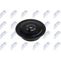 Spring Cap NTY - AD-VW-013