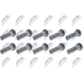 Wielbout (x10) NTY - KSP-MZ-000