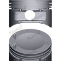 Êmbolo NURAL - 87-438500-00