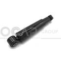 Stoßdämpfer OCAP - 80287FU