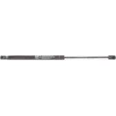Ammortizatore pneumatico, Cofano bagagli /vano carico OPEN PARTS - GSR6121.00