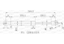 Bonnet gas struts