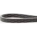 Courroie d'accessoire OPEN PARTS - PVBD1817.06