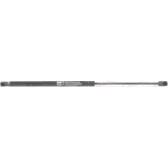 Muelle neumático, maletero/compartimento de carga OPEN PARTS - GSR6036.00