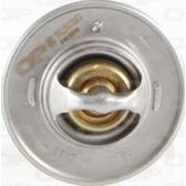 Termostato, refrigerante OPEN PARTS - TRM1006.00