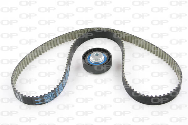 Timing Belt Kit
