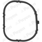 Dichtung, Ansaugkrümmer PAYEN - JD6170