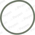 Gasket, intake manifold PAYEN - JD5228