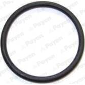 Gasket, thermostat housing PAYEN - LC292