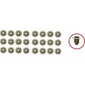 Klepsealset PAYEN - HR5111