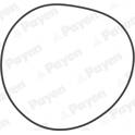 O-Ring Set, cylinder sleeve PAYEN - PA708