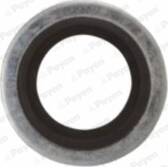Seal- oil drain plug PAYEN - KG5012