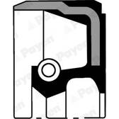 Shaft Seal- crankshaft PAYEN - NB973