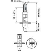 Jeu de 2 ampoules H1 WhiteVision ultra PHILIPS - 12258WVUSM