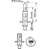 Glühlampe, Hauptscheinwerfer PHILIPS - 12258XVPS2