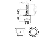 D2R Xenon Bulb
