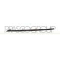 Baguette et bande protectrice (grille de radiateur) PRASCO - ME0452214