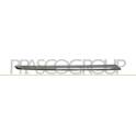 Baguette et bande protectrice (grille de radiateur) PRASCO - ME7002213