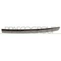 Baguette et bande protectrice (grille de radiateur) PRASCO - PG2022216