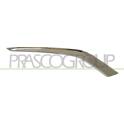 Baguette et bande protectrice (grille de radiateur) PRASCO - PG3281243