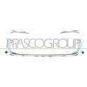 Baguette et bande protectrice (grille de radiateur) PRASCO - PG4262206