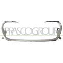 Baguette et bande protectrice (grille de radiateur) PRASCO - PG4262216