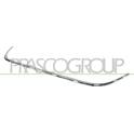 Baguette et bande protectrice (grille de radiateur) PRASCO - PG4282305