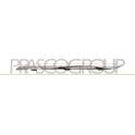 Baguette et bande protectrice (grille de radiateur) PRASCO - RN3292239