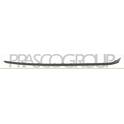 Baguette protectrice (pare-chocs) PRASCO - AD3231243