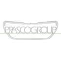 Cadre (grille de radiateur) PRASCO - PG3282206
