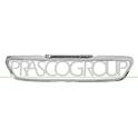 Cadre (grille de radiateur) PRASCO - PG4282206