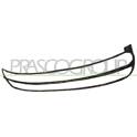 Cadre (grille de radiateur) PRASCO - VG4202305