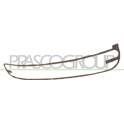 Cadre (grille de radiateur) PRASCO - VG4202315