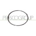 Cadre (Phare antibrouillard) PRASCO - AD0381247