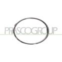 Cadre (Phare antibrouillard) PRASCO - AD0381248
