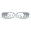 Cadre (Phare antibrouillard) PRASCO - CI3281230