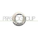 Cadre (Phare antibrouillard) PRASCO - PG4221240