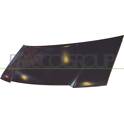 Capot PRASCO - FT9223100