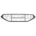 Frame, radiator grille PRASCO - ST4312305
