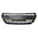Grille de radiateur PRASCO - PG3282120