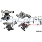 Charger, charging (supercharged/turbocharged) PROCODIS - TUR125