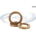 Shaft Seal Set, engine PROCODIS - KBE019