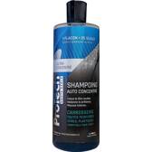 Zelfgeconcentreerde shampoo - PROTECH MONTE-CARLO - 500 ml PROTECH MONTE-CARLO - 20063