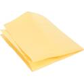 Peau de chamois synthétique - 38 x 40 cm Protecton - 1750304