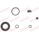 Repair Kit, brake caliper QUICK BRAKE - 114-0071